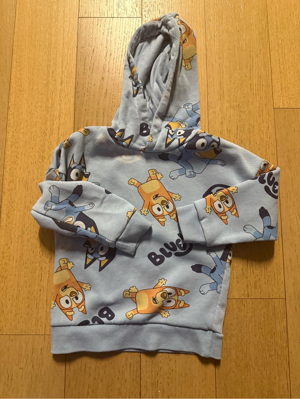 Bluey Light Blue Kids Hoodie with Cartoon Characters